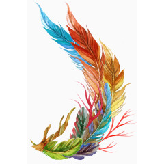 五彩缤纷植物羽毛