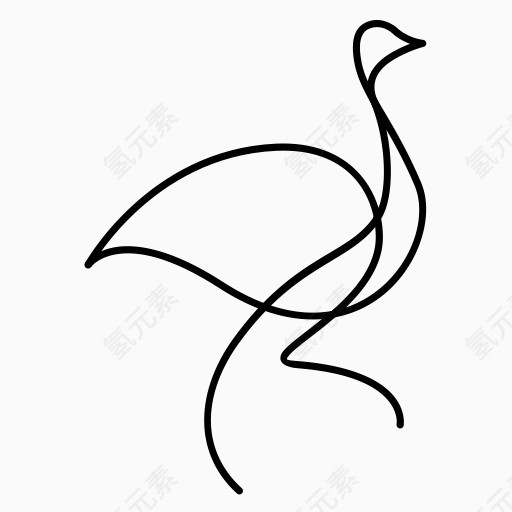 非洲动物鸟鸵鸟野生一行