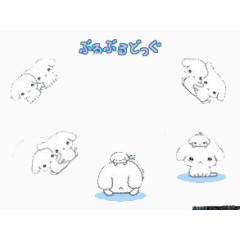 两只小狗的日常