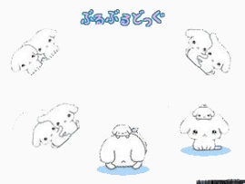 两只小狗的日常