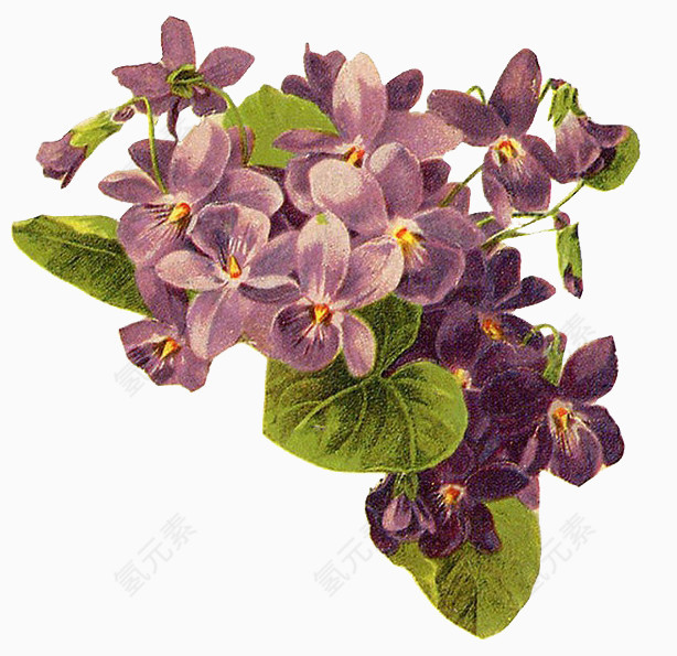 花水彩手绘