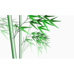 卡通竹叶图片卡通竹叶素材 
