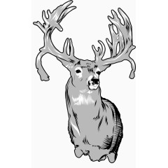 黑白色细腻手绘麋鹿