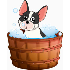 小狗洗澡