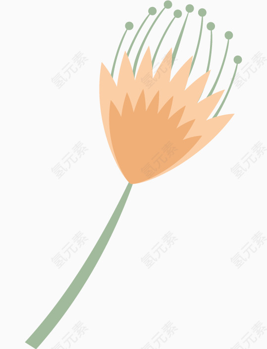 手绘卡通花卉
