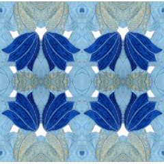 装饰图案古典花纹图片素材