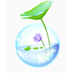 荷花气泡花朵水珠