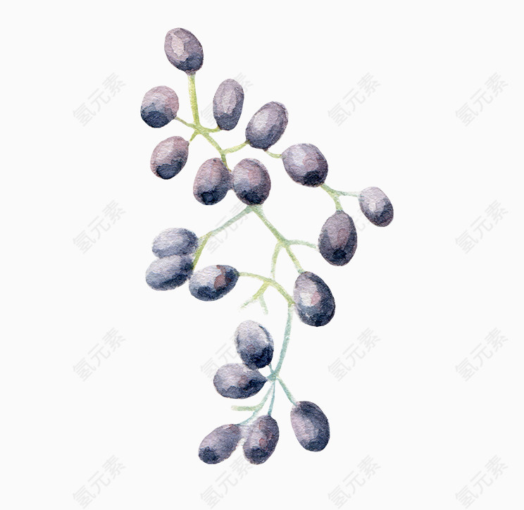 精美五彩花卉