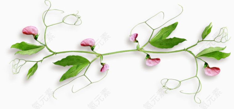 装饰图片素材装饰图片