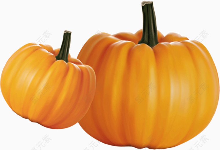 一大一小俩南瓜