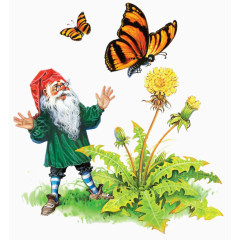 红帽老人与蝴蝶花朵