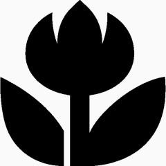 照片视频关闭模式图标