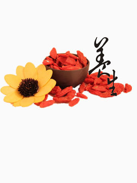 枸杞