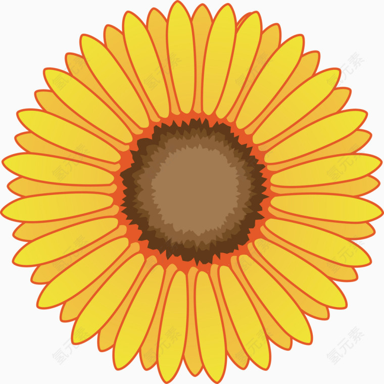 太阳花