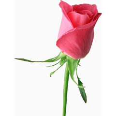 手绘装饰装饰图片素材