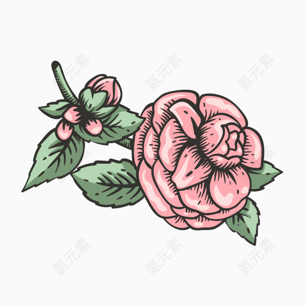 水彩粉色鲜花图片