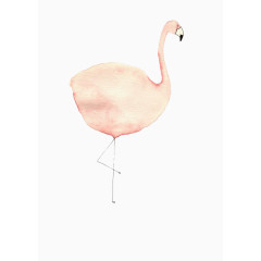手绘粉色火烈鸟