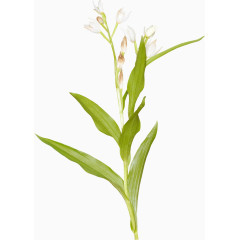 卡通装饰图片田园风风格