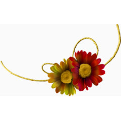 糊财务会计图标