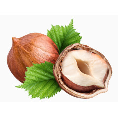 炒货图片卡通坚果 精美坚果