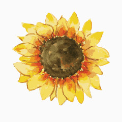 手绘水墨向日葵素材