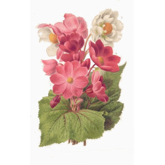 装饰卡通田园风图案