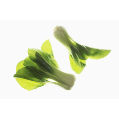 蔬菜