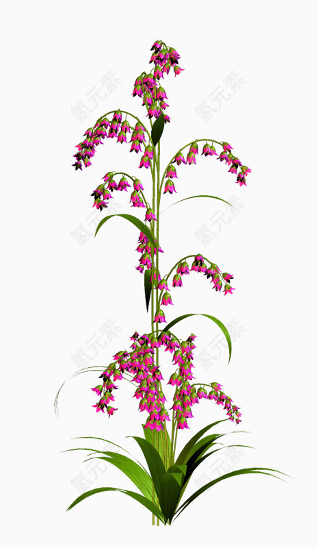花草ps素材水彩花卉