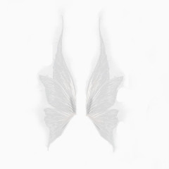 一对翅膀免抠素材