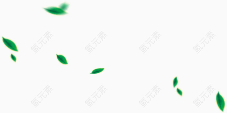飘落的绿叶