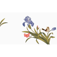花鸟水彩画