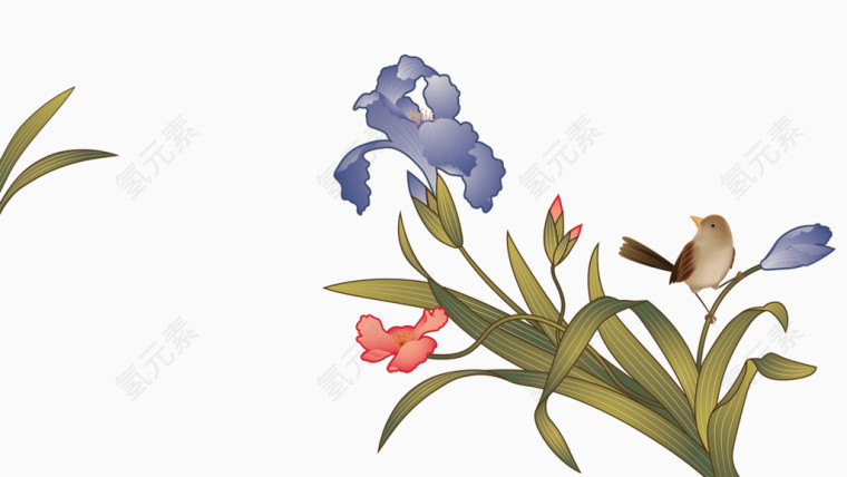 花鸟水彩画