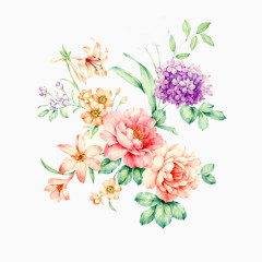 玫瑰花丁香花手绘插画