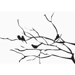 树枝剪影