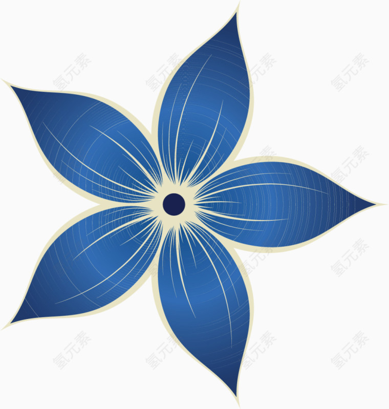 蓝色花朵花卉