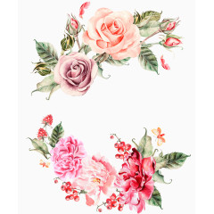 手绘水彩png花素材矢量设计绘花图