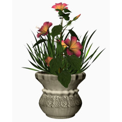 花卉矢量图素材手绘装饰图片