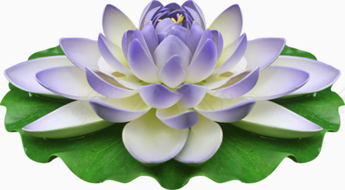 手绘装饰图片花草图案