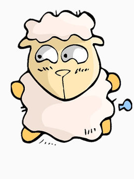 小心翼翼的绵羊