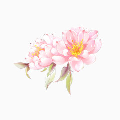 手绘淡粉色花卉素材