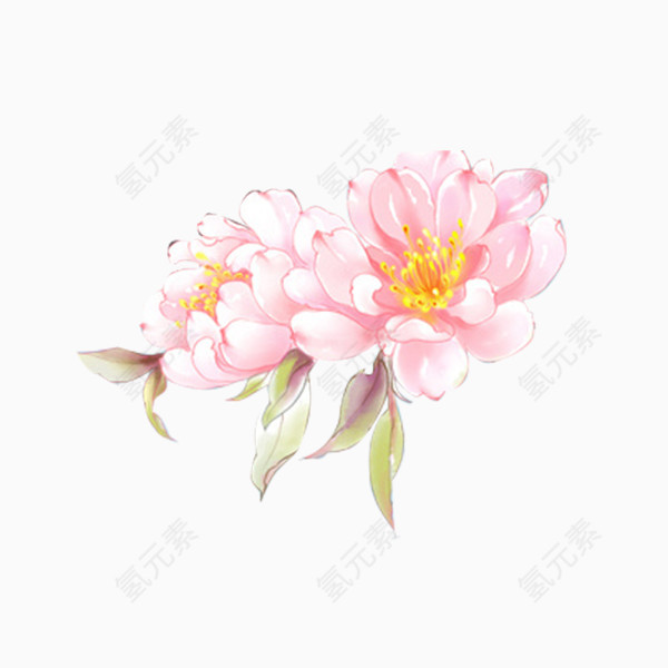 手绘淡粉色花卉素材