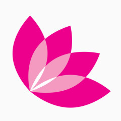 精美五彩花形logo