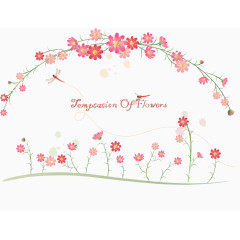 韩式鲜花花边框