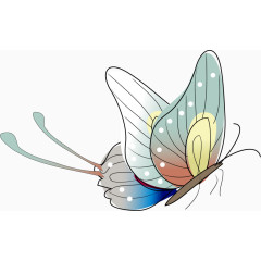 矢量手绘彩色蝴蝶