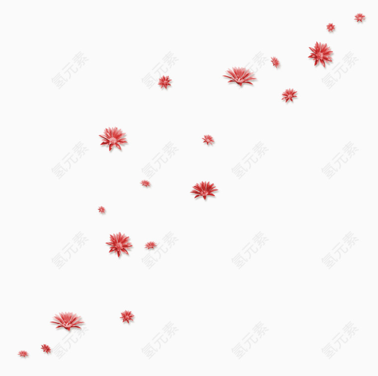 红色的花