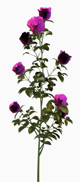 花卉素材花卉矢量素材