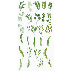 水彩树枝树叶PNG免抠素材