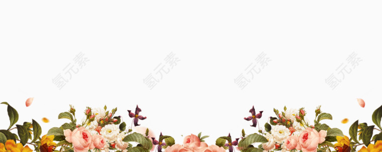 花卉植物素材