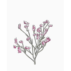 水粉绘制的花草