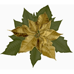 卡通手绘树叶子